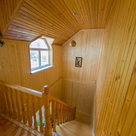Guest House Suzirya Karpat Iaremcea Exterior foto