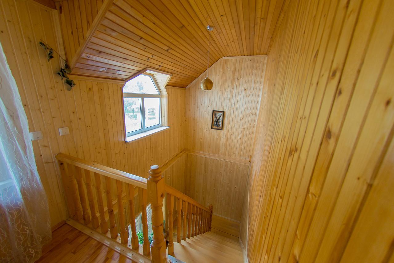 Guest House Suzirya Karpat Iaremcea Exterior foto